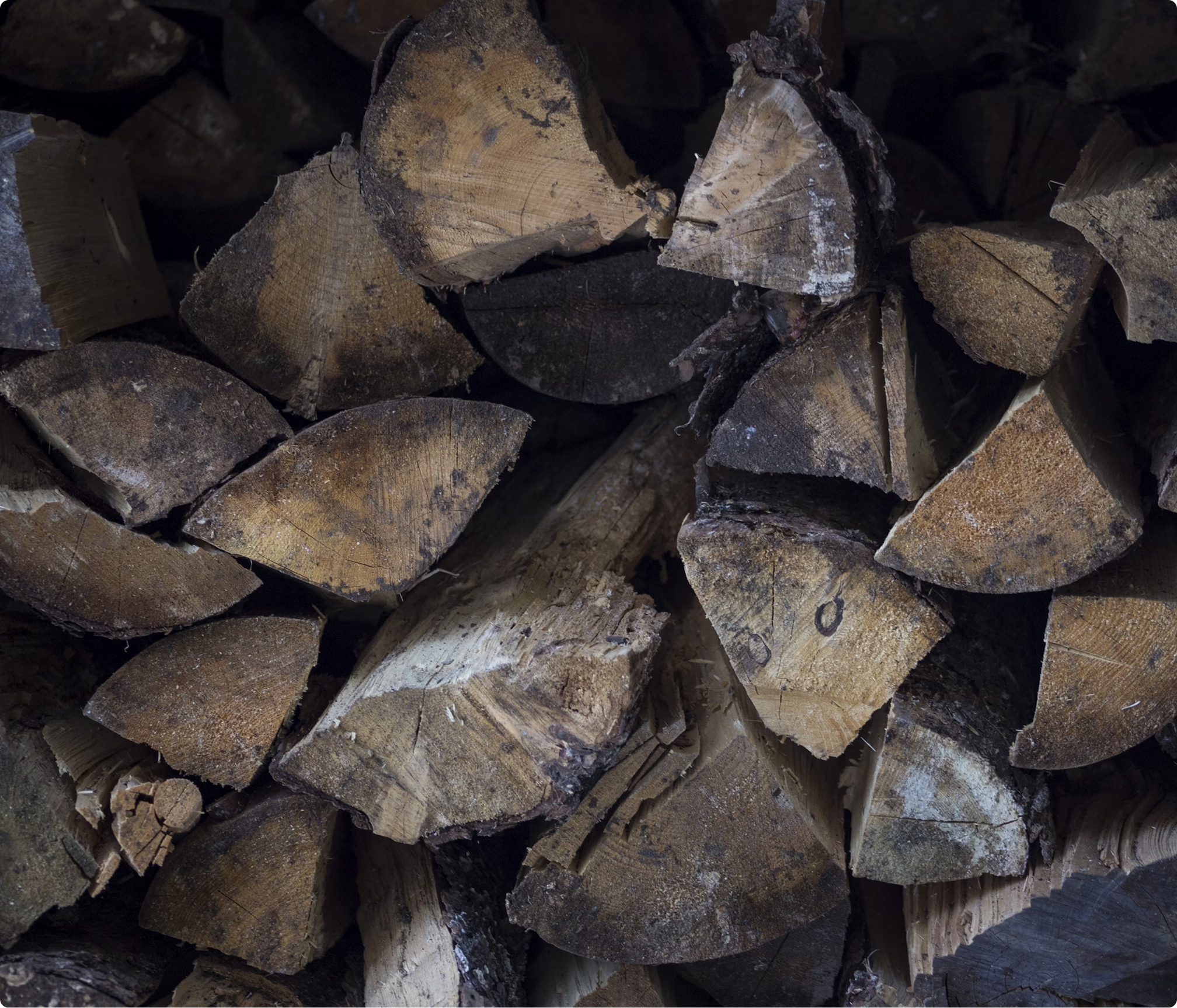Bio Briquette Indonesia