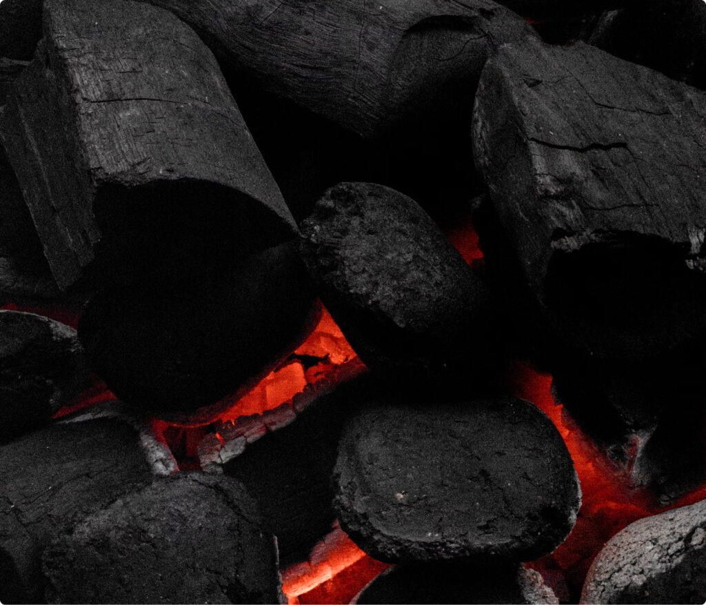 Bio Briquette Indonesia