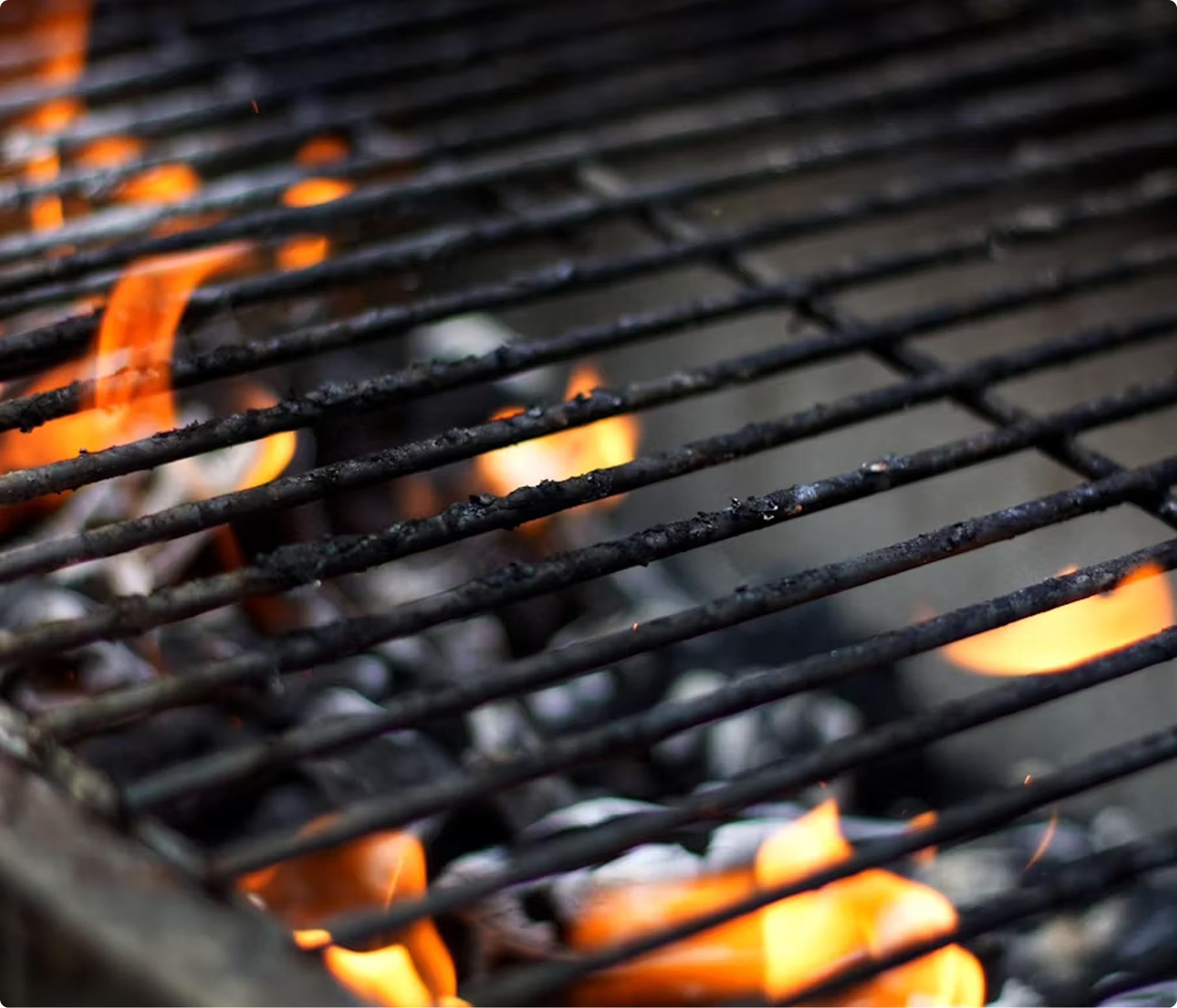 Bio Briquette Indonesia